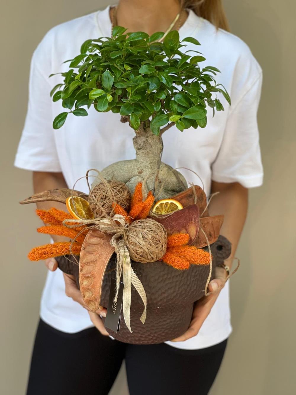 Jumbo Orange Bonsai Ağacı